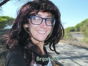 Begonia69