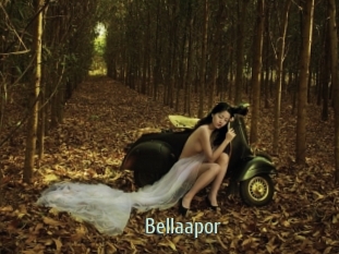 Bellaapor