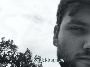 Bigdickboynew