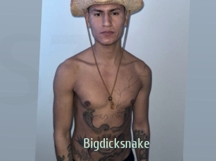 bigdicksnake Sexcam Zone