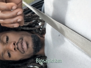 Bigsapiofam