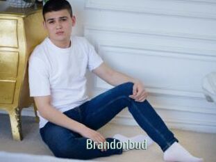 Brandonbud