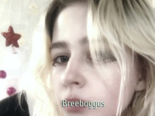 Breeboggus