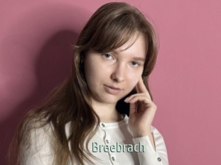 Breebrach