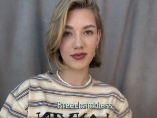 Breechambless