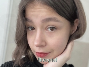 Breegrief
