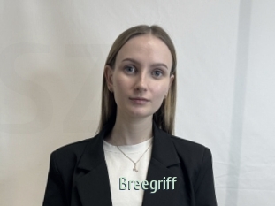 Breegriff
