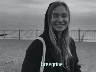 Breegrine
