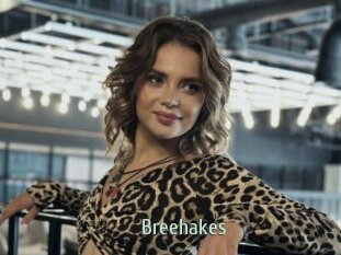 Breehakes