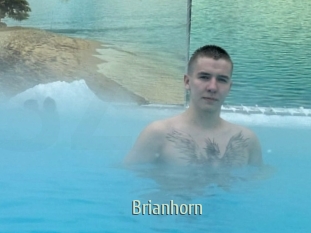 Brianhorn