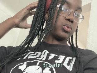 Bricarter