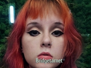 Bridgetarnet