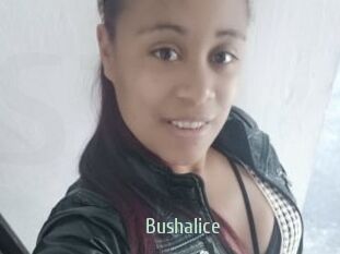 Bushalice