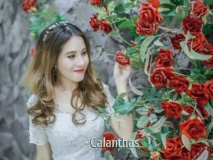 Calanthas