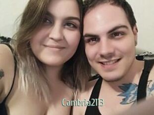 Cambria2113
