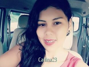Carlina23