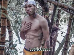 CedricGovea