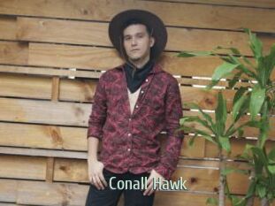 Conall_Hawk