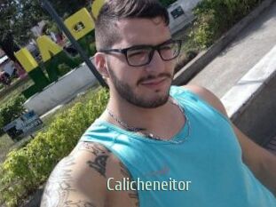 Calicheneitor