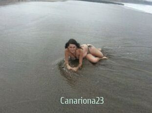 Canariona23