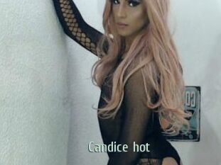 Candice_hot