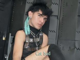 Cat_bad