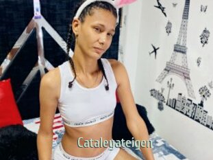 Cataleyateigen