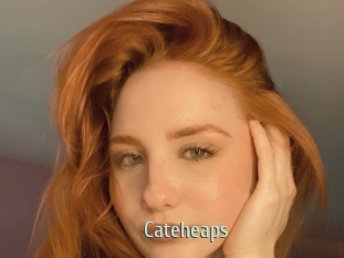 Cateheaps