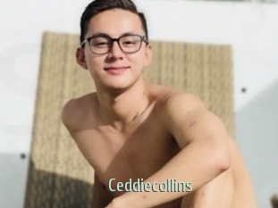 Ceddiecollins