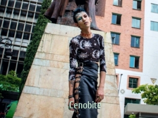 cenobite Sexcam Zone