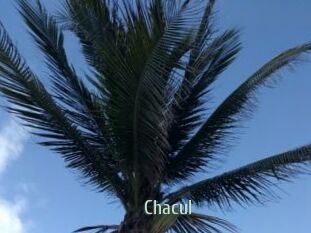 Chacul