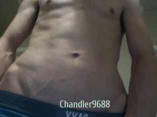 chandler9688 Sexcam Zone