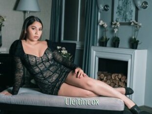 Cleitincox