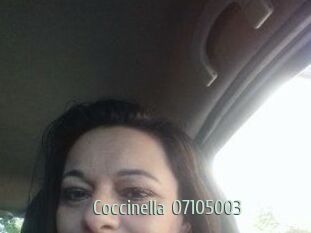 Coccinella-07105003