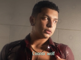 Coonor_wolf