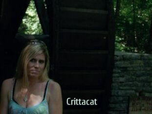 Crittacat