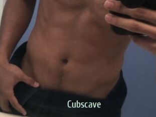 Cubscave