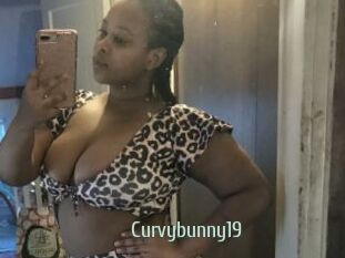 Curvybunny19