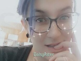 DaisyAster