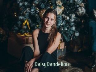 DaisyDandelion