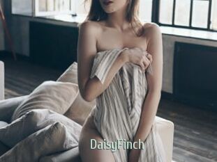 DaisyFinch