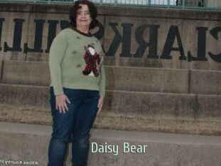 Daisy_Bear