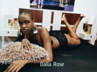 Dalia_Rose