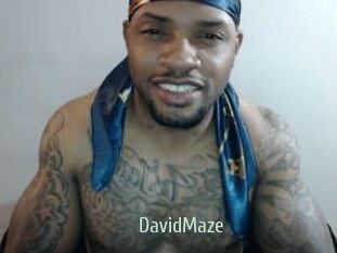 David_Maze