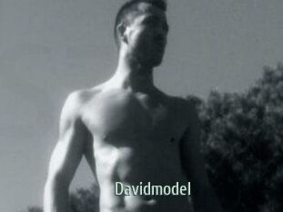 Davidmodel