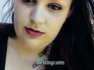Destinycums Sexcam Zone