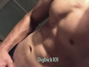 Digbick101