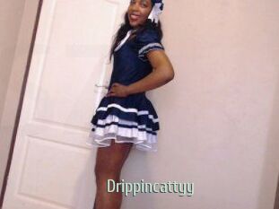 Drippincattyy