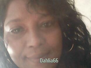 Dahlia66