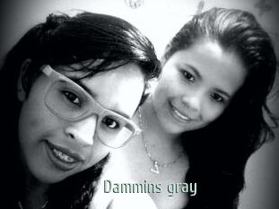 Dammins_gray